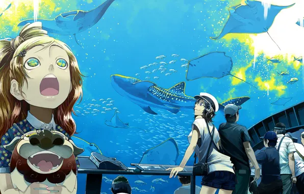 Картинка рыбы, люди, аквариум, аниме, арт, скаты