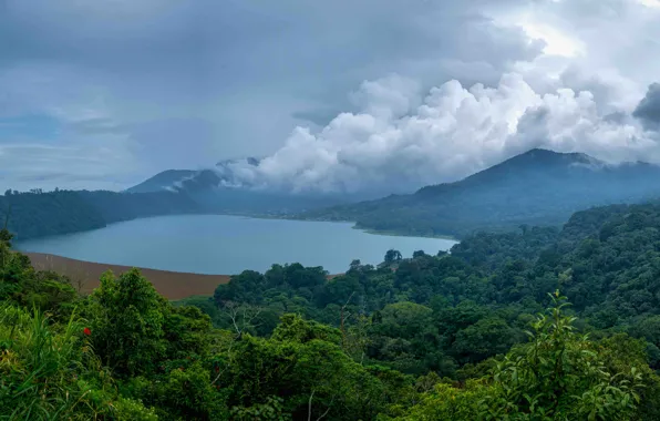 Картинка лес, облака, горы, туман, озеро, тропики, джунгли, Индонезия, Bali