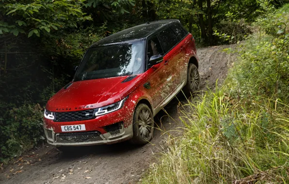 Картинка дорога, лес, растительность, грязь, Land Rover, чёрно-красный, Range Rover Sport Autobiography