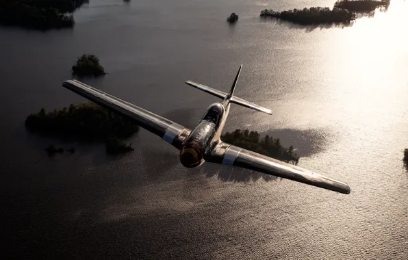 Картинка истребитель, Мустанг, P-51, американский, одноместный, дальнего радиуса