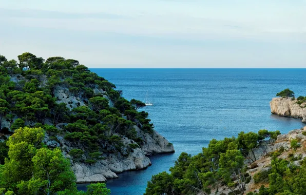Картинка море, деревья, камни, скалы, берег, Франция, яхта, горизонт, Provence, Calanque, Port Miou
