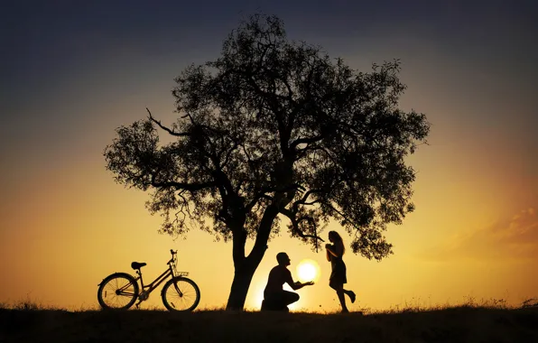 Картинка девушка, солнце, велосипед, дерево, пара, парень, силуэты