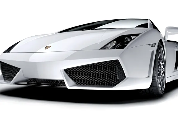 Картинка Lamborghini, Gallardo, LP560