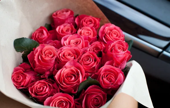 Картинка розы, букет, красные, red, flower, roses, bouguet, Abelena