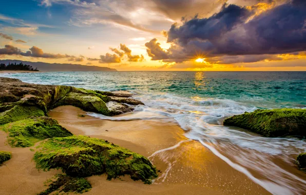 Картинка песок, море, небо, солнце, облака, водоросли, тропики, камни, рассвет, побережье, горизонт, Гавайи