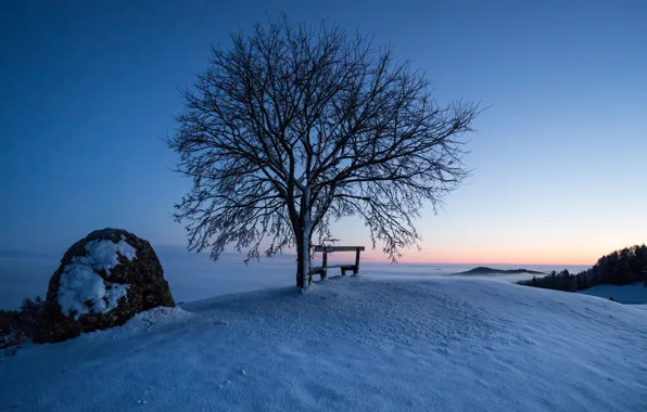 Картинка зима, снег, скамейка, дерево