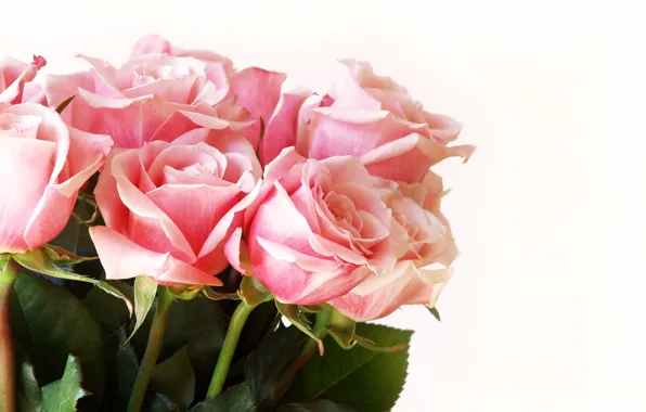 Картинка розы, букет, pink, flowers, roses