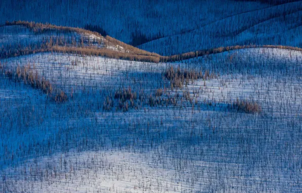 Картинка зима, горы, холмы, Колорадо, США, Вулф Крик Пасс