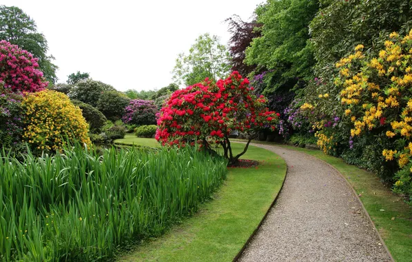 Картинка деревья, цветы, пруд, газон, сад, дорожка, Великобритания, кусты, Biddulph Grange Garden