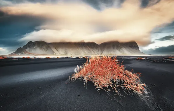 Картинка горы, природа, берег, Vestrahorn Islande