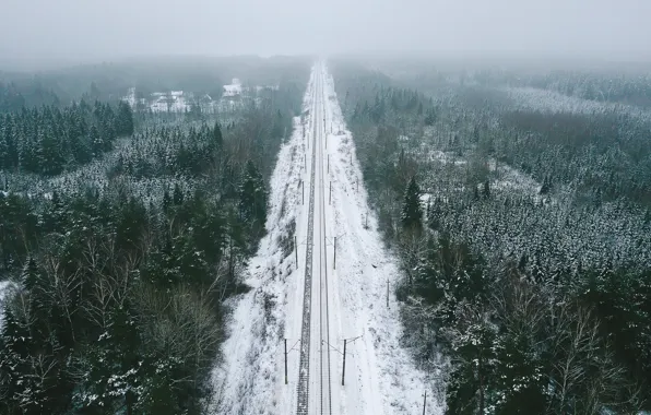 Картинка зима, лес, природа, железная дорога