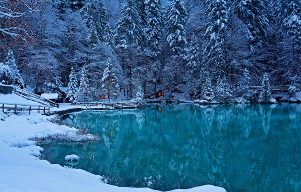 Картинка зима, лес, озеро, Швейцария, Switzerland, Bernese Oberland, Kander Valley, долина реки Кандер, Кандерская долина