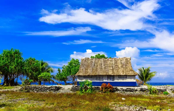 Картинка море, небо, трава, солнце, облака, деревья, дом, тропики, камни, берег, остров, горизонт, кусты, Kiribati, Tabuaeran, …