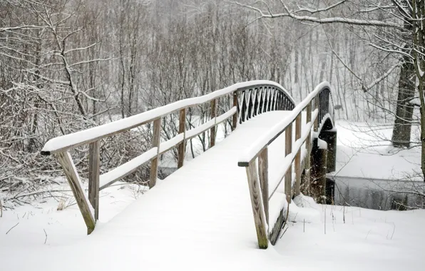 Картинка деревья, мост, парк, winter, snow, зимний пейзаж