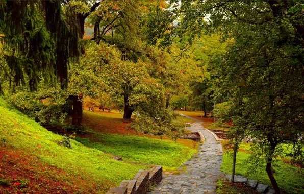 Картинка Осень, Деревья, Парк, Fall, Park, Autumn, Trees