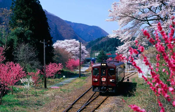 Картинка горы, поезд, весна, Япония, цветение, префектура Гумма