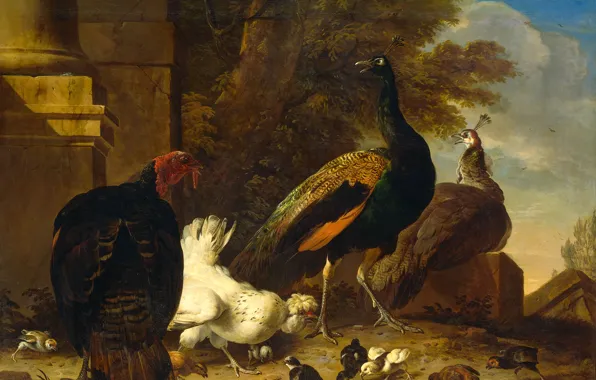 Картинка животные, птицы, картина, Мельхиор де Хондекутер, Курица с Павлинами и Индюк