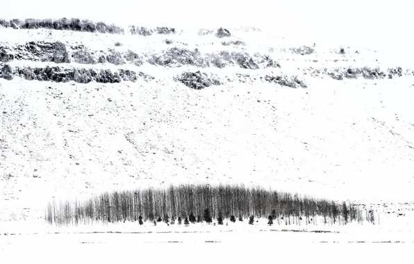 Картинка зима, снег, деревья, Iceland