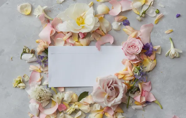 Картинка цветы, бумага, flowers, карточка, Backgrounds