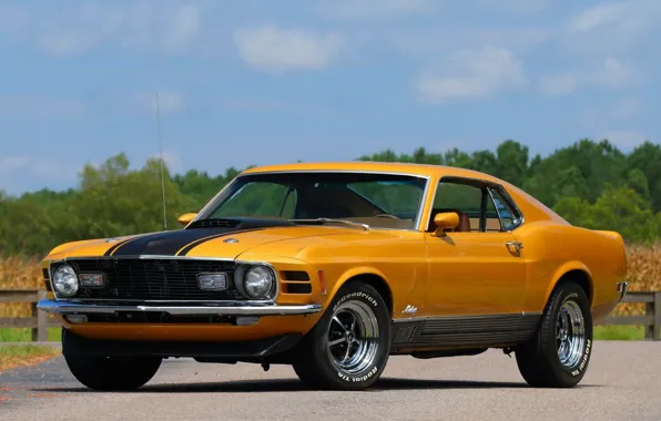 Картинка Ford Mustang, 1970, Fastback, Mach 1, Muscle classic