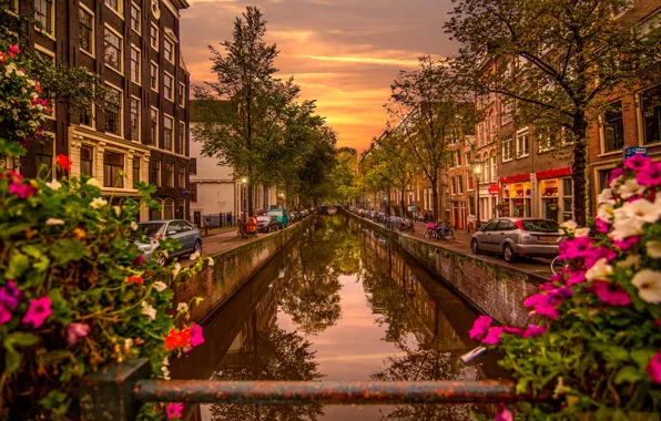 Картинка деревья, цветы, мост, река, рассвет, дома, Амстердам, фонари, канал, Нидерланды, Amsterdam
