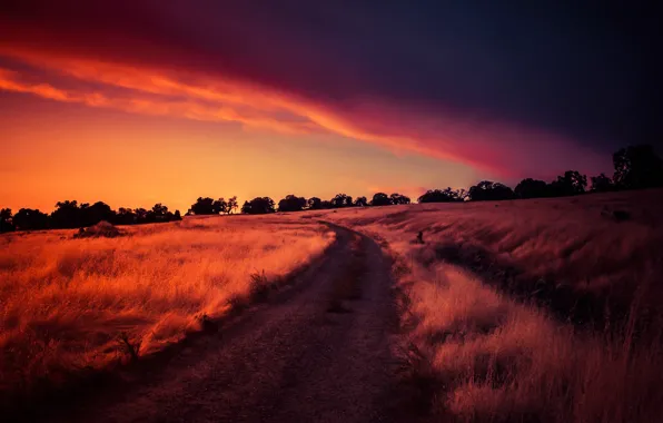 Картинка дорога, поле, закат