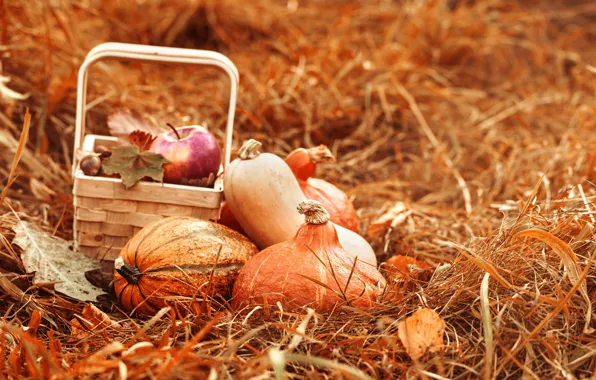 Картинка осень, корзина, яблоки, сено, тыква, натюрморт
