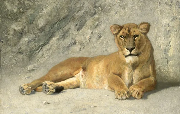 Картинка кошка, животные, картина, Ян ван Эссен, Отдыхающий Лев