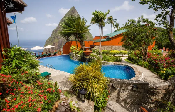 Картинка море, солнце, пейзаж, цветы, пальмы, скалы, бассейн, курорт, кусты, Saint Lucia, Jalousie Beach