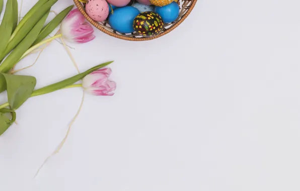 Картинка цветы, яйца, пасха, тюльпаны, Праздник