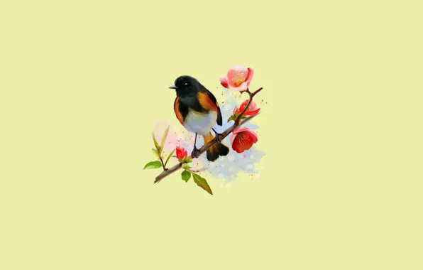 Картинка птица, ветка, цветение, маленькая