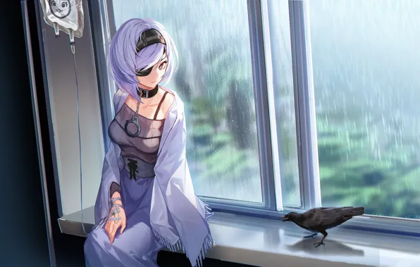 Картинка девушка, аниме, окно, арт, ворона, doitsu no kagaku