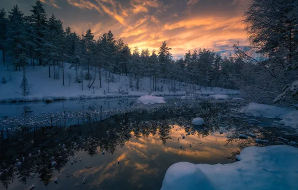 Картинка зима, лес, снег, деревья, закат, река, Норвегия, Norway, Рингерике, Ringerike