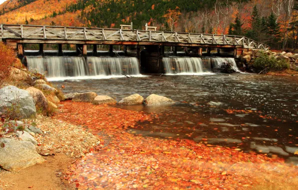 Картинка Поток, Осень, Река, Fall, Bridge, Autumn, Colors, River, Мостик, Flow
