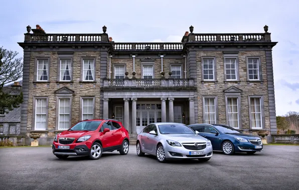 Картинка Opel, особняк, автомобили, Metallic