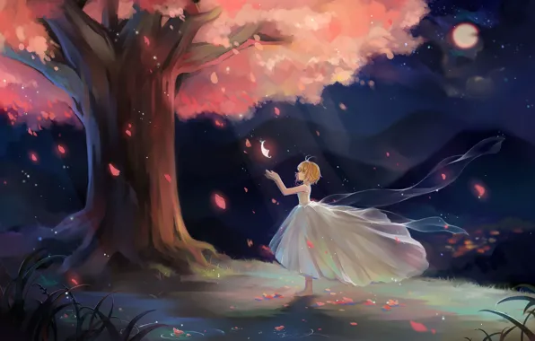 Картинка свет, ночь, лепестки, сакура, девочка, Sakura, белое платье, цветение, пышная юбка, Tsubasa Reservoir Chronicles