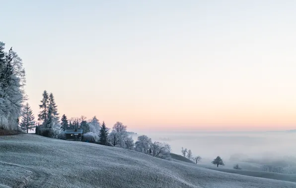 Картинка зима, туман, утро