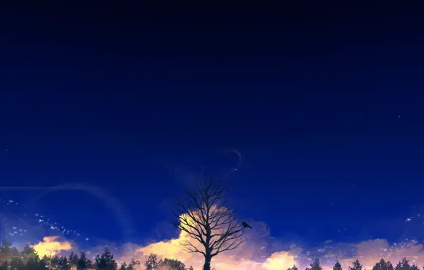 Картинка небо, природа, дерево, птица, Y_Y