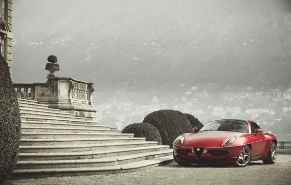 Картинка Красный, Alfa Romeo, Автомобиль, 2013, Металлик, Disco Volante Touring