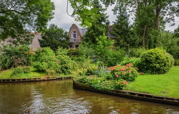 Картинка зелень, вода, деревья, цветы, дом, газон, сад, канал, Нидерланды, кусты, Giethoorn