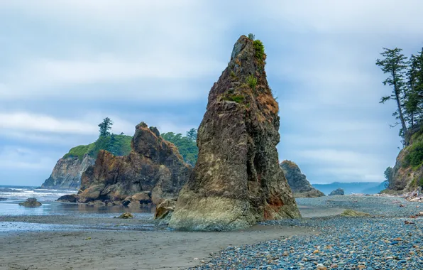 Картинка песок, море, деревья, камни, скалы, побережье, Вашингтон, США, Olympic National Park