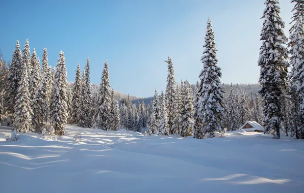 Картинка зима, лес, снег, деревья, избушка, ели, сугробы, Россия, тайга, Сибирь