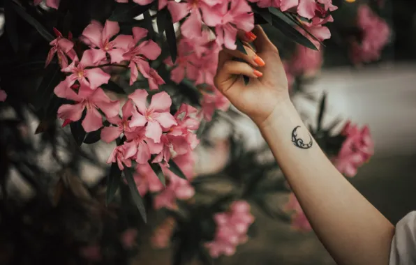 Картинка цветы, рука, месяц, лепестки, тату, татуировка