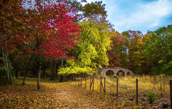 Картинка Осень, Деревья, Тропа, Парк, Fall, Bridge, Park, Autumn, Colors, Мостик, Trees, Path