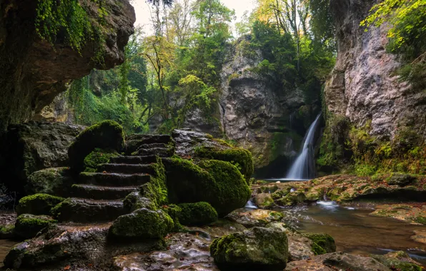 Картинка зелень, деревья, ручей, камни, скалы, водопад, мох, Швейцария, лестница, ступени