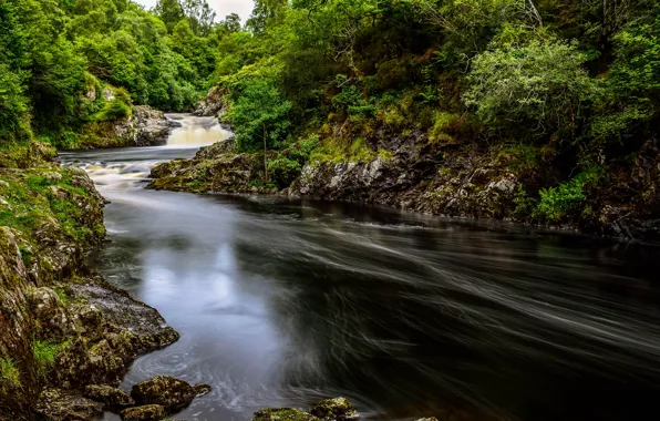 Картинка зелень, лес, деревья, река, камни, течение, Шотландия, River Shin