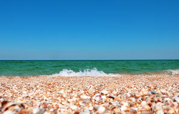 Картинка море, небо, пейзаж, природа, ракушка, ракушки, крым, песок из ракушек, азовское море, песок ракушечник