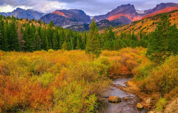 Картинка осень, деревья, горы, природа, река, ручей, Колорадо, США, кусты, Роки-Маунтин