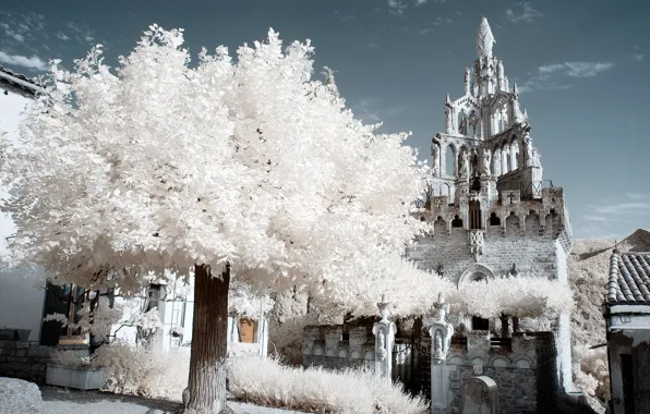 Картинка дерево, Франция, Прованс, Ньон, инфракрасный снимок, Нотр-Дам де Бон Секур