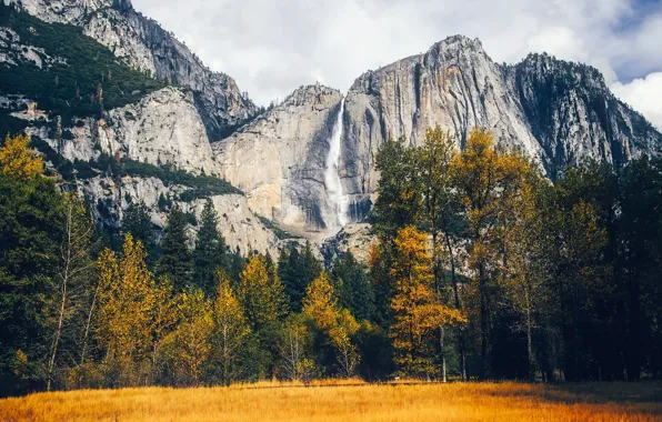 Картинка осень, трава, деревья, горы, скалы, поляна, водопад, Калифорния, США, Йосемити